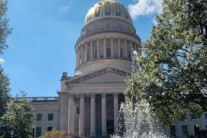 TSA Expands Digital ID Program to Include Virginia and West Virginia Mobile Driver's Licenses