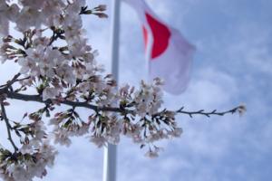 Mercari Implements Mandatory ID Verification for High-Value Sales