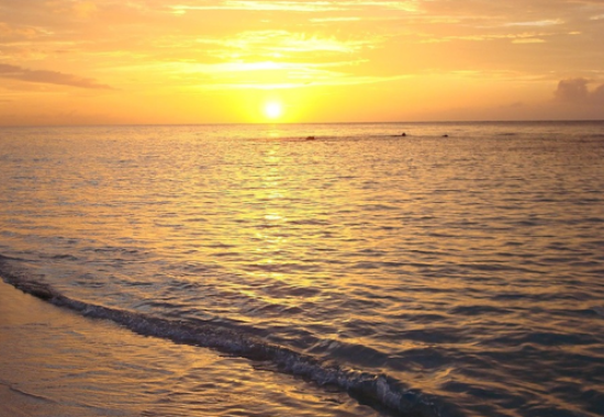 Jamaica Launches NIDS Digital ID Card Distribution to Initial 300 Citizens