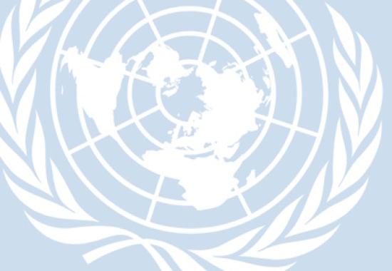 UN Proposes Global Mandatory Digital ID System Linked to Financial Accounts