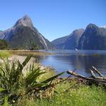 New Zealand’s prime minister proposes social media ban for under-16s