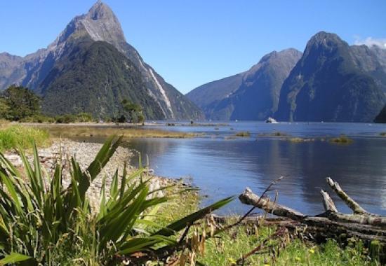 New Zealand’s prime minister proposes social media ban for under-16s