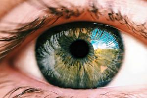 Sam Altman brings his eye-scanning identity verification startup to the UK