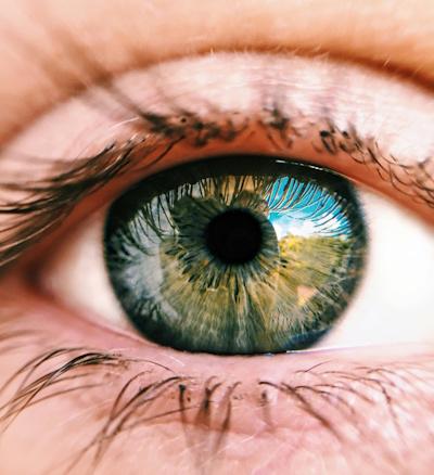 Sam Altman brings his eye-scanning identity verification startup to the UK
