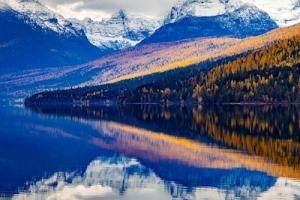 Google Wallet adds support for eighth state ID: Montana