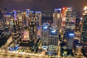 Indonesia eyes its next leap in digital ID development through global best practices