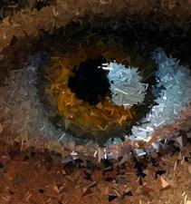 XORKETS FX Forms a Strategic Partnership with Global Verification Leader Sumsub