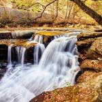 Traveling Virginians can use Mobile ID at TSA checkpoints