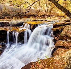 Traveling Virginians can use Mobile ID at TSA checkpoints