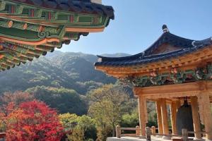 South Korea to Launch Mobile Digital ID Cards in December 2024