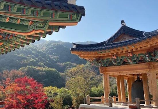 South Korea to Launch Mobile Digital ID Cards in December 2024