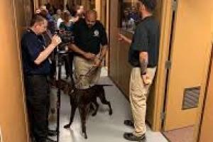 TSA to Enforce $45 REAL ID Verification Fee Beginning February 1, 2026