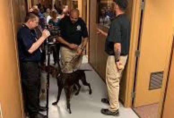 TSA to Enforce $45 REAL ID Verification Fee Beginning February 1, 2026