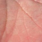 Humanity Unveils Proof of Trust to Tackle AI Fraud