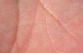 Humanity Unveils Proof of Trust to Tackle AI Fraud