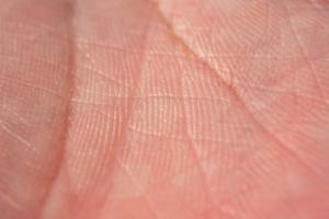 Humanity Unveils Proof of Trust to Tackle AI Fraud