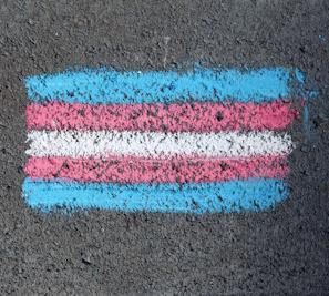 ‘Age Verification’ could force trans people to out themselves to use the internet