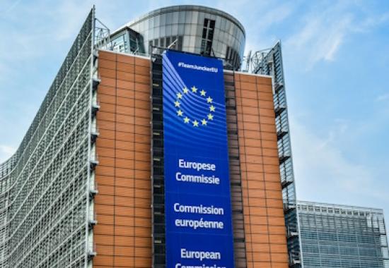 European Commission Sets Standards for Cross-Border Digital Identity Wallets