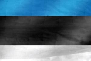 Estonia is the rare EU country opposing bans on children’s social media use