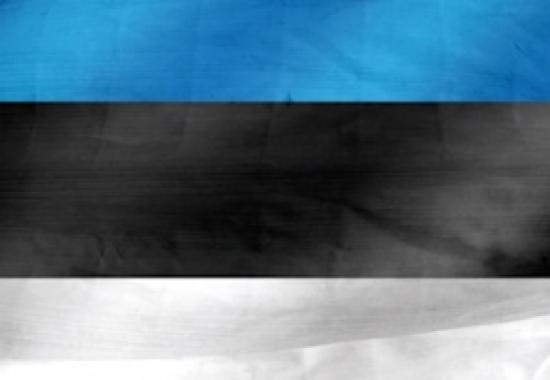 Estonia is the rare EU country opposing bans on children’s social media use