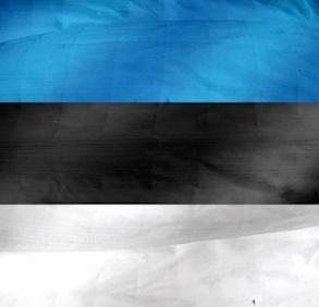 Estonia is the rare EU country opposing bans on children’s social media use