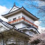 Japan eyes going digital for emergency welfare loan applications
