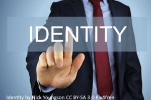 Vidos Integrates with Ping Identity's PingOne DaVinci to Simplify Decentralized Identity and Verifiable Credential Adoption