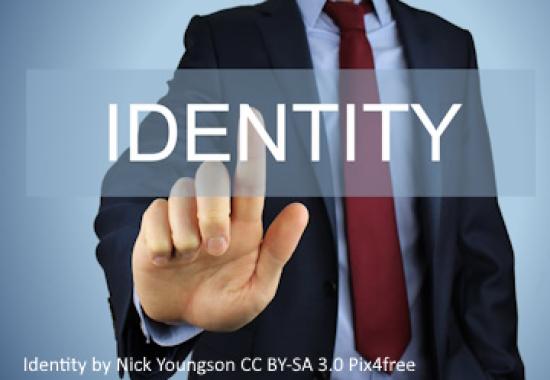 Vidos Integrates with Ping Identity's PingOne DaVinci to Simplify Decentralized Identity and Verifiable Credential Adoption