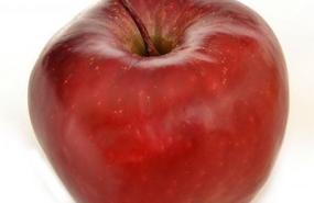 Apple users are being targeted by a familiar tech support scam
