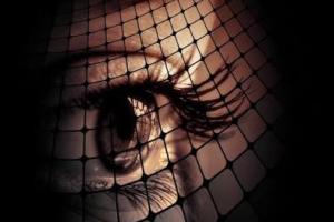 Multimodal Biometric Authentication: Future Trends, Risks, And Security Applications