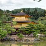 Japan Folds Its Two My Number Card Apps Into One, and Requires a Screen Lock