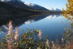 Alaska to implement online identity verification option for individuals filing for unemployment Insurance benefits