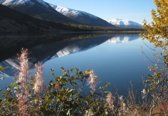 Alaska to implement online identity verification option for individuals filing for unemployment Insurance benefits