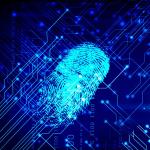 Estonia plans government IDs giving AI agents rights and responsibilities