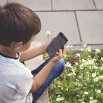 EU age-check app to bar minors from Facebook, YouTube from July 1