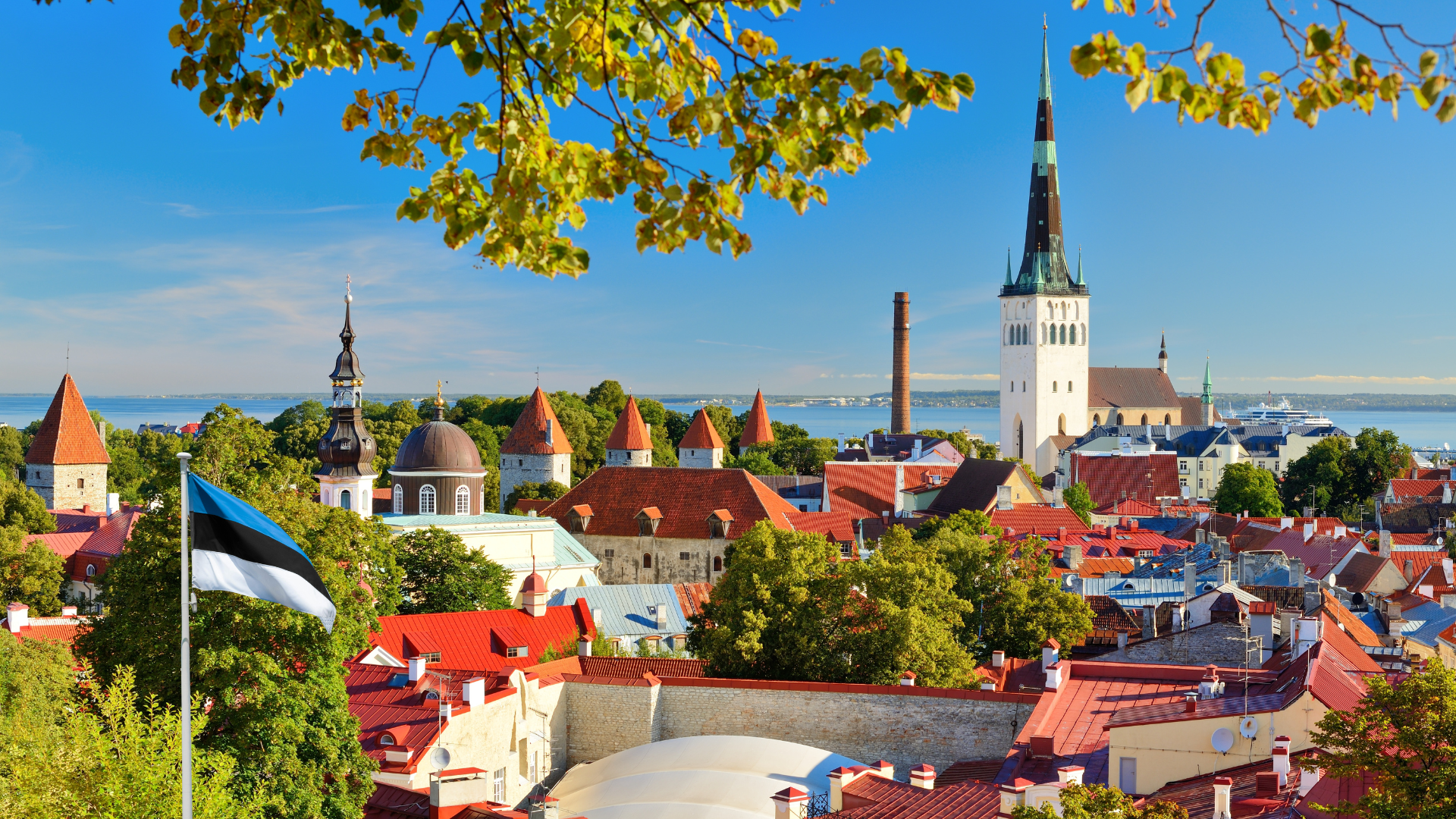 Estonia seeking stakeholder partner to build digital ID wallet in development phase