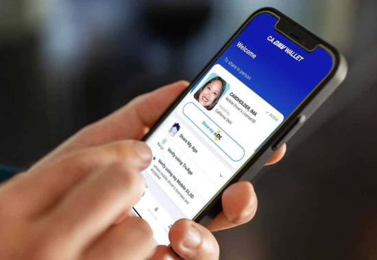 Louisiana’s mobile wallet is close to a launch on the Trinsic network