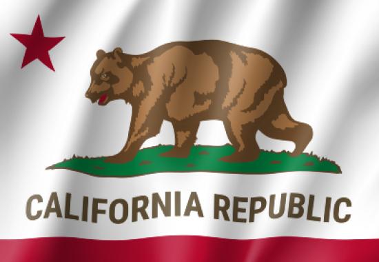 California Enacts Digital Age Verification Law