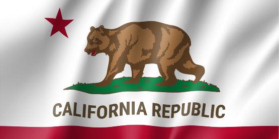 California Enacts Digital Age Verification Law