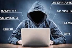 Nigeria leads with 5.91% cases of identity thefts in Africa