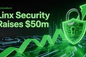 Linx Security Raises $50M Series B to Fight Identity Risk