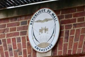 Mali to launch worldwide digital platform for diaspora