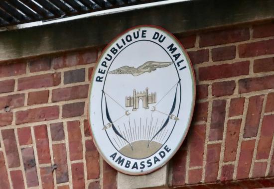 Mali to launch worldwide digital platform for diaspora