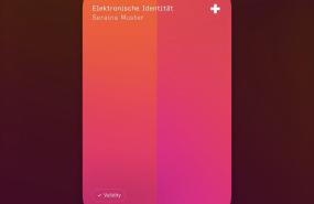 Swiyu, Swiss Digital ID - Design Compass