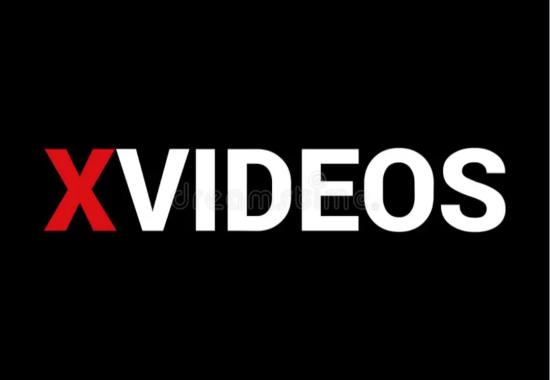 XVideos and Bang Bros under fire from Florida for age verification